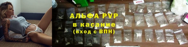 мяу мяу мука Беломорск