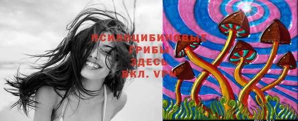 кокаин премиум Белокуриха
