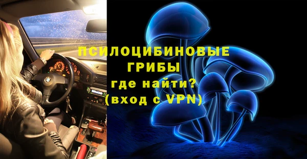 мяу мяу мука Беломорск