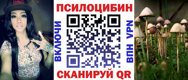 Псилоцибиновые грибы MAGIC MUSHROOMS  дарнет шоп  МЕГА ТОР  Бугульма 